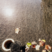 Soft Story Failure (Demos 2006)