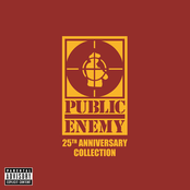 Revelation 33 1/3 Revolutions by Public Enemy