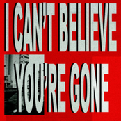 I Can't Believe You're Gone