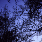 Skrzydlaty Siewca Ciszy