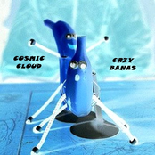 CRZY BANAS