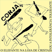 O Elefante Na Loja De Cristais Ou a Intolerância Tolerante