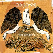 Vowelic Drone by Orgone