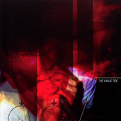 The Rock Autopsy Has Begun