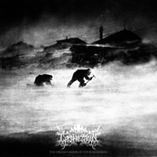 The Frozen Moor Of Your Memories