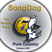 Pure Country Vol. 225
