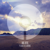 ASIP016 Mig Dfoe - Playa La Llorona