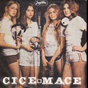 Cice Mace