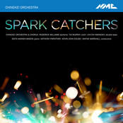 Chineke! Orchestra: Spark Catchers