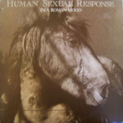 12345678910 by Human Sexual Response