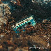 Похороненный заживо