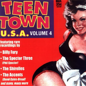 Teen Town U.S.A - Vol. 04