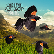 Liian Laiha Rakkaani by Scandinavian Music Group