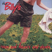 Roses and Flowers and Plants