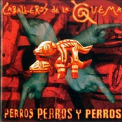 Los Tipos Duros No Bailan by Los Caballeros De La Quema