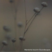Mandorla Autumn Soundscapes