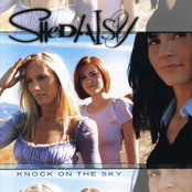 Get Over Yourself by Shedaisy