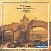 Telemann: Wind Concertos, Vol. 6