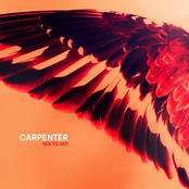 Mean Things by Carpenter