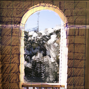 stop at every stop sign