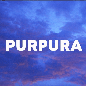 PURPURA
