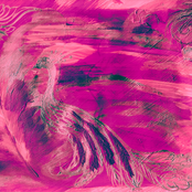 Music Is a Universal Language so I Can Speak to Anybody on Earth Through My Music and the Reason I Strive to Be a Multi-Genre Artist Is so That I Can Reach All of the Earth to Let People Know That It Is Okay to Be Yourself and It's Okay to Be Different