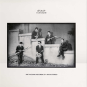 白人黒人黄色人種