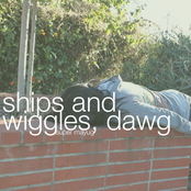 Ships and Wiggles