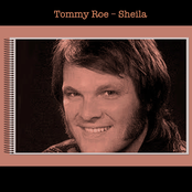 Piddle De Pat by Tommy Roe