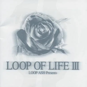 LOOP OF LIFE III