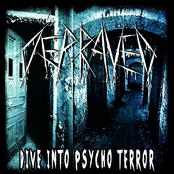 Dive into Psycho Terror