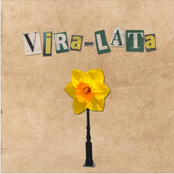 Vira-Lata