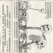 Environmental Execution