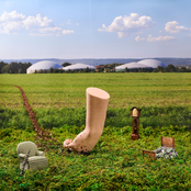 Head Shoulders Knuckles Floor