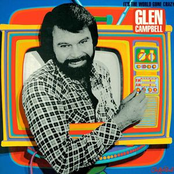 Any Which Way You Can by Glen Campbell