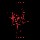 Leap Year