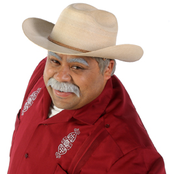 don cheto