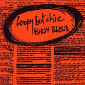 home-made music for home-made people vol. 4: "loopy but chic" (harsh blend)
