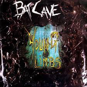Bat Cave - Young Limbs And Numb Hymns