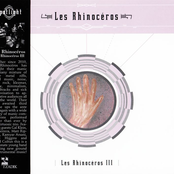 Les Rhinocéros III