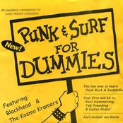 Punk & Surf For Dummies