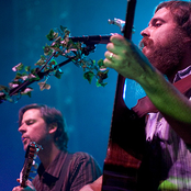 iron & wine and calexico