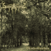 The Only End To A Brave