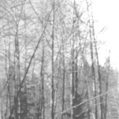 Circle Of Salt / Taggarik