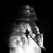 Die Where The Flowers Grow