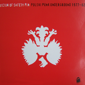 Victim of Safety Pin: Polski Punk Underground 1977-82