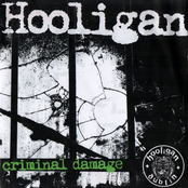 Criminal Damage by Hooligan