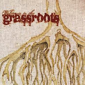 Welcome to the Grassroots