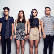 the sam willows