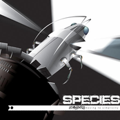 Complexity Moving to Simplicity